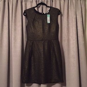 Collective concepts dress